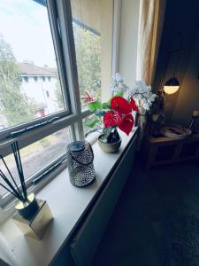 Cosy apartment in heart of Cork City