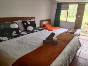 Hospedaje y Zona de Camping Pistacho