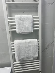 Anastasia Dragonul Roșu Spitalul Fundeni