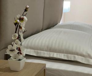 Enzo Hotel near Lake Tirana