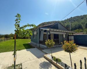 Mountain View Apartment