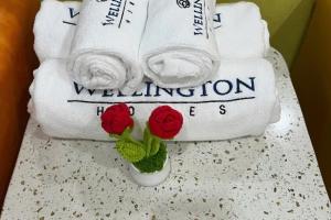 The Wellington Homes - Căn Hộ Republic Paza - Gần Sân Bay Hồ Bơi Phòng Gyms Free