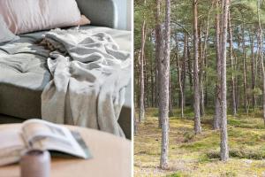 2512-Nexo-Rokjinkan-7