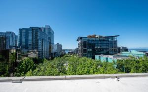 Secure updated apartment in Belltown
