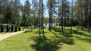 Dreamcatcher & Friends