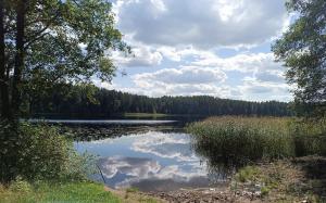 Dreamcatcher & Friends