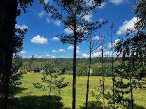 Chatka Mała Sowa - Stara Rzeka