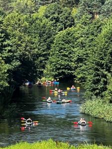 Chatka Mała Sowa - Stara Rzeka