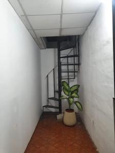 Cabañas Sierra Maestra