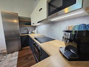 ArtApartmán ve ski Černý Důl by AlkaTravel