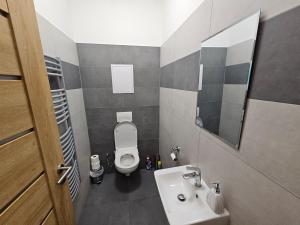 ArtApartmán ve ski Černý Důl by AlkaTravel