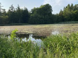 Købmandsgården i Blære
