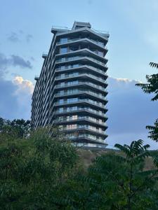 Одесса Гринвуд