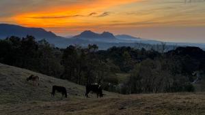 Cabana Romântica na Serra com Hidro, Lareira, Lagos e Trilhas
