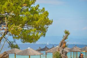 Sentido Thassos Imperial Thassos Greece