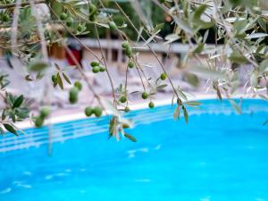 Hotel IZVOARE Caciulata