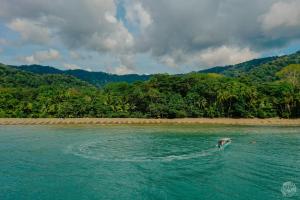 Dolphin Quest Jungle Lodge