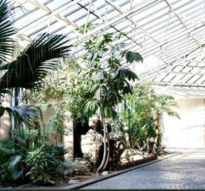 The Strand Pavilion Gordons Bay