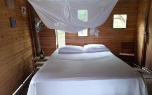 CARDUMEN ARTE y COCINA