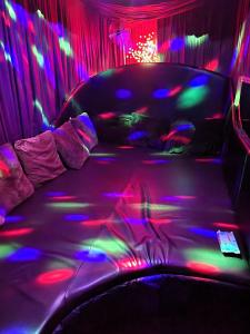 Velvet Pineapple Hotel