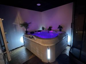Cocon Jacuzzi et cinéma 4K B