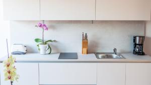 Apartment Lunta