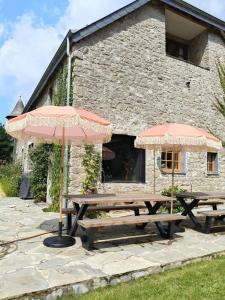 Luxurious mansion on the Ourthe - Manoir de Sy