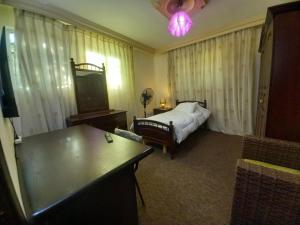 Luxury furnished apartment for rent - شقة فاخرة مفروشة للإيجار