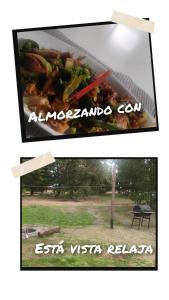 Riveras Rentals Bosque & cabañas