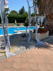 Villa belvedere B&B casa vacanze Enna pergusa