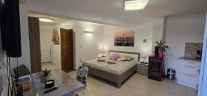 Studio Apartman DORA