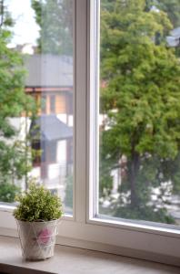 Słoneczny Apartament w centrum Sopotu Dolnego