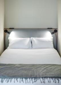 Sigmund Freud Dream Stay