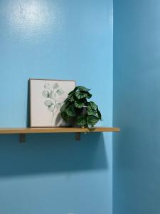 Balik Payaw Cozy Studio in Avida Towers Atria Iloilo City