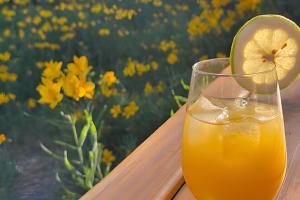 Cabaña en el bosque I Tranquilidad y montaña