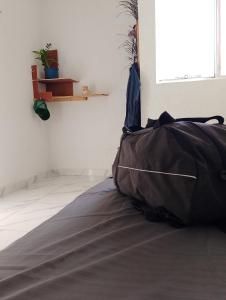 5 minutos del tren Maya