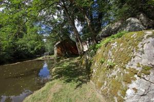 Gites Le Moulin du Cluzeau : photos des chambres