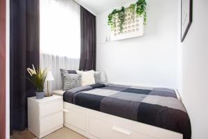 Apartament Nowowiejskiego 22 - Centrum