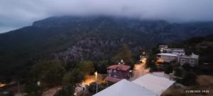 Nature and tranquility