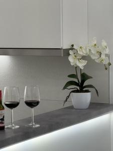 Apartman Mojsilović