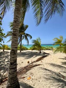 Roatan Infinity Pool and Ocean View Apartment