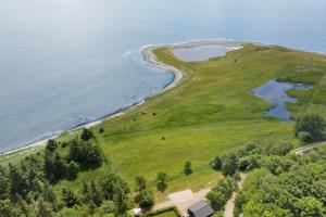 LF18127-Veslos-Livovej-29