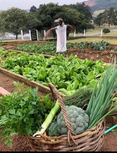 Rancho SF Casa Texana