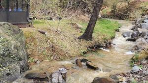 Black Beary Creek Cabin - a Romantic Smoky Mountain Escape - Cozy, Peaceful, Creek-side cabin close to Pgeon Forge, Dollywood, Gatlinburg, the Great Smoky Mountains National Park, and the major attractions in the Smokies