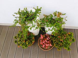 Quinta da Casa Matilde - NATURE HOUSE