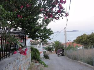 Captain George's Apartments Alonissos Greece