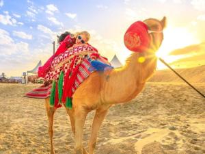 Modern 1bd-2bth with Sofa Bed Near the beach