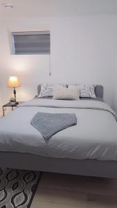 Entire Basement Suite in Bonavista