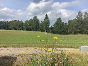 4 person holiday home in TORUP