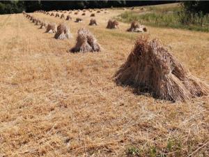 Seaside Serenity in Jaegerspris-By Traum